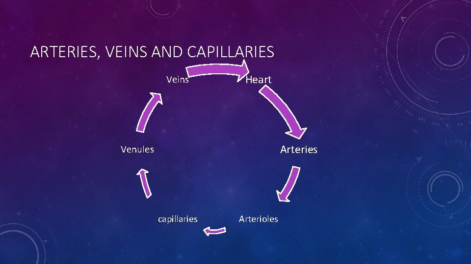ARTERIES, VEINS AND CAPILLARIES Veins Heart Arteries Venules capillaries Arterioles 