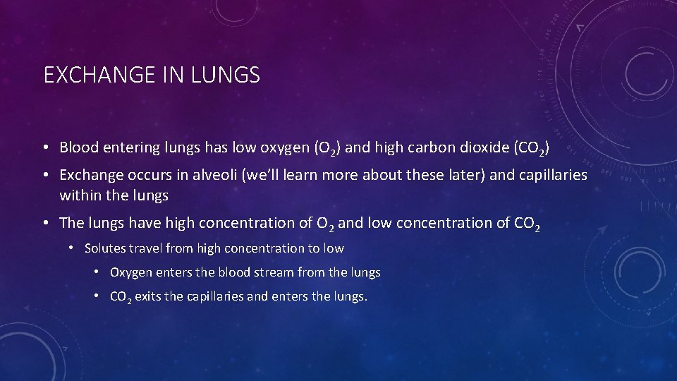 EXCHANGE IN LUNGS • Blood entering lungs has low oxygen (O 2) and high