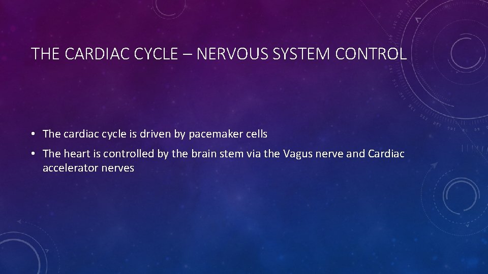 THE CARDIAC CYCLE – NERVOUS SYSTEM CONTROL • The cardiac cycle is driven by