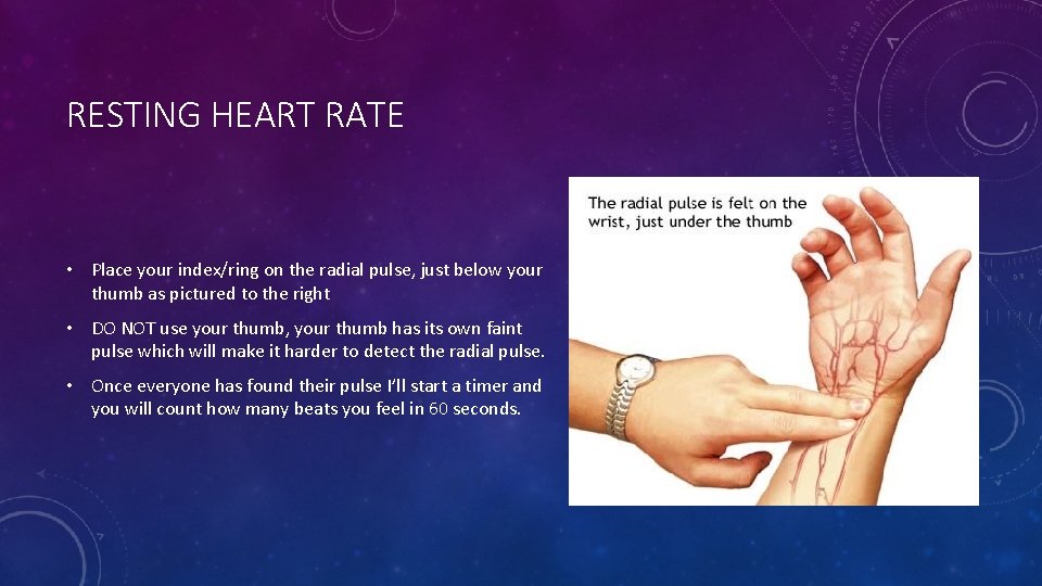 RESTING HEART RATE • Place your index/ring on the radial pulse, just below your