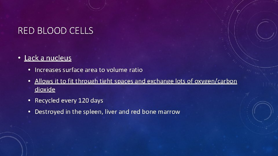 RED BLOOD CELLS • Lack a nucleus • Increases surface area to volume ratio