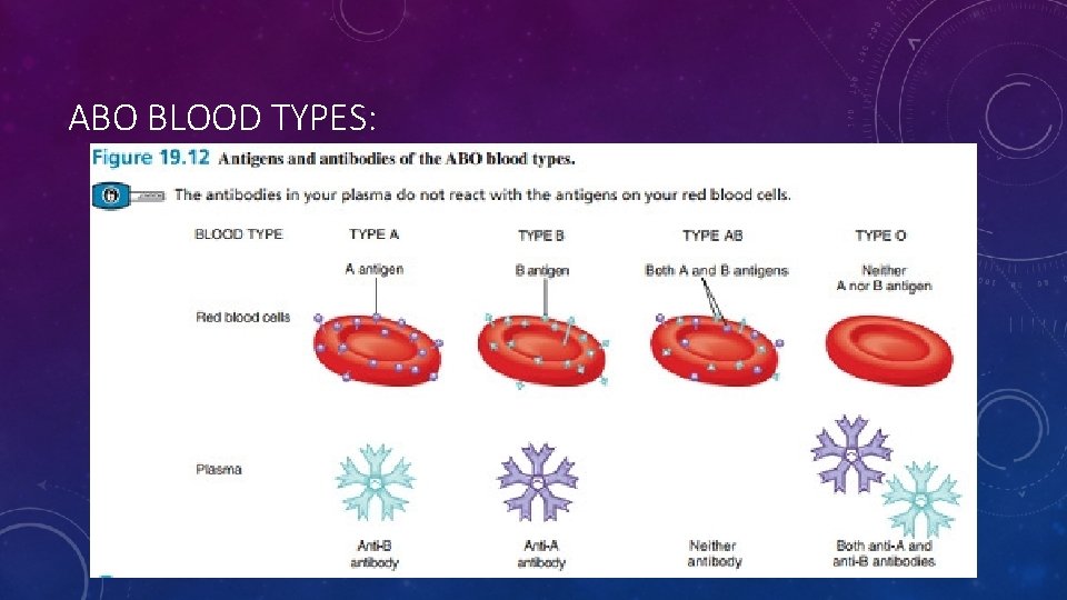 ABO BLOOD TYPES: 