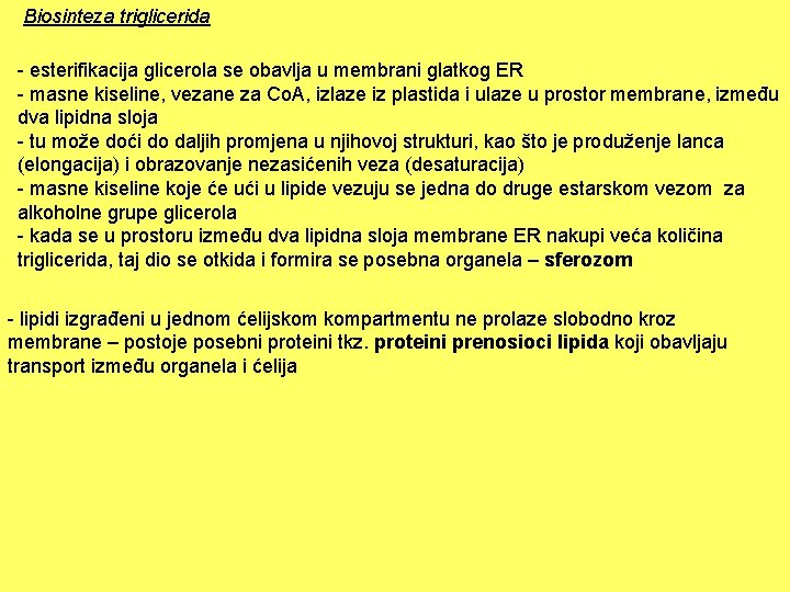 Biosinteza triglicerida - esterifikacija glicerola se obavlja u membrani glatkog ER - masne kiseline,