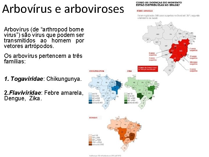 Arbovírus e arboviroses Arbovírus (de “arthropod borne virus”) são vírus que podem ser transmitidos