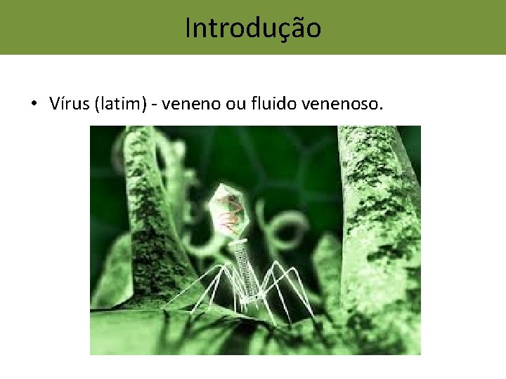Introdução • Vírus (latim) - veneno ou fluido venenoso. Introdução • Vírus (latim) - veneno ou fluido venenoso.
