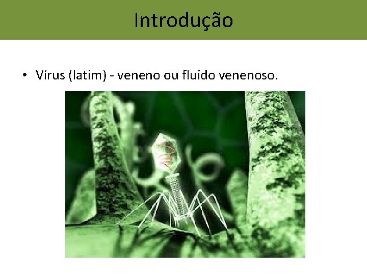 Introdução • Vírus (latim) - veneno ou fluido venenoso. 