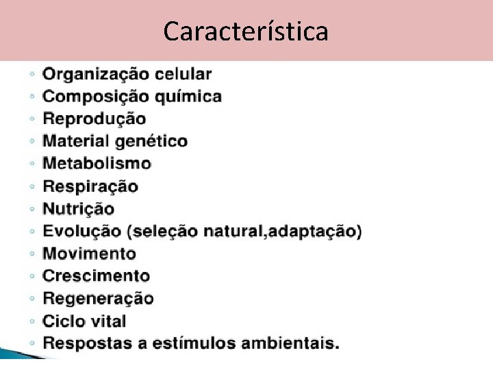 Característica 