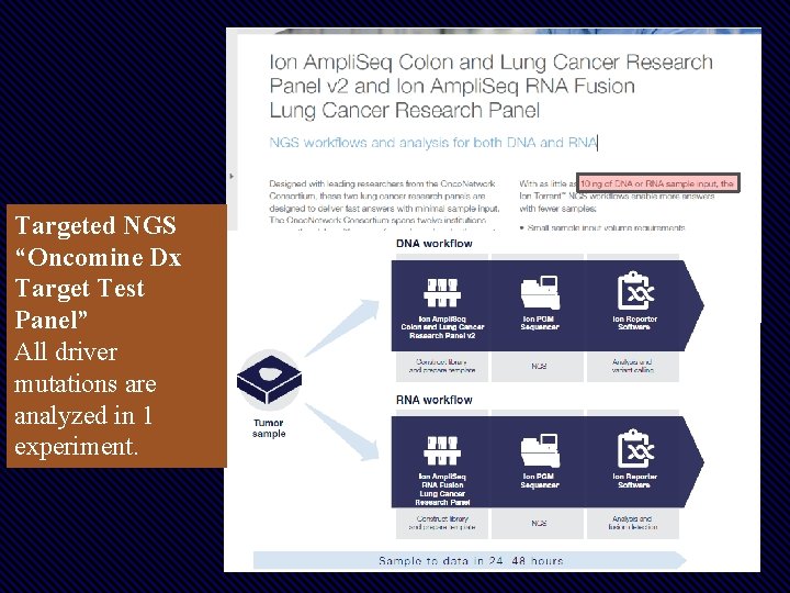 Targeted NGS “Oncomine Dx Target Test Panel” All driver mutations are analyzed in 1