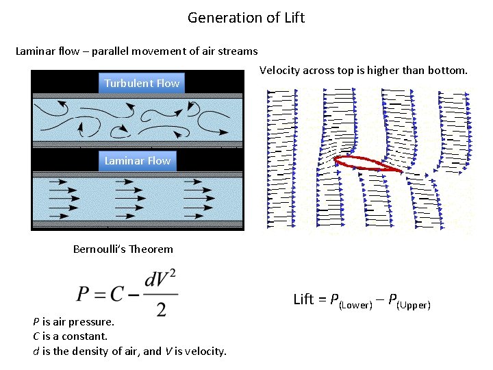 Generation of Lift Laminar flow – parallel movement of air streams Turbulent Flow Velocity