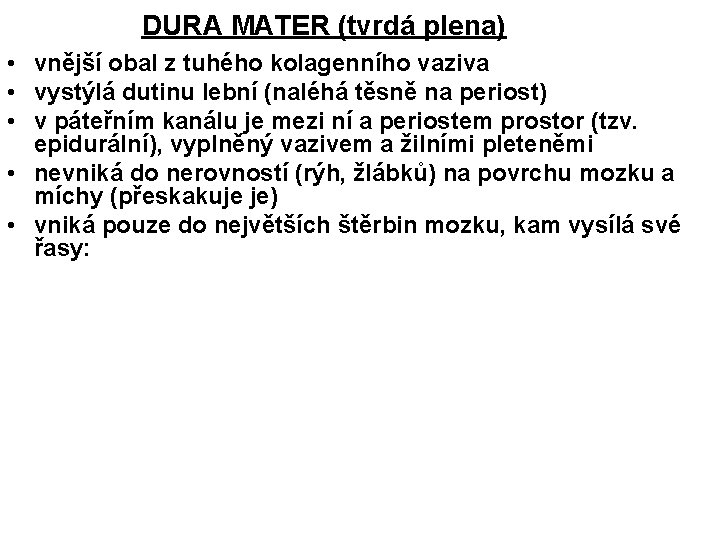 DURA MATER (tvrdá plena) • vnější obal z tuhého kolagenního vaziva • vystýlá dutinu
