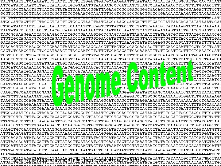 CS 273 A The Human Genome Source Code