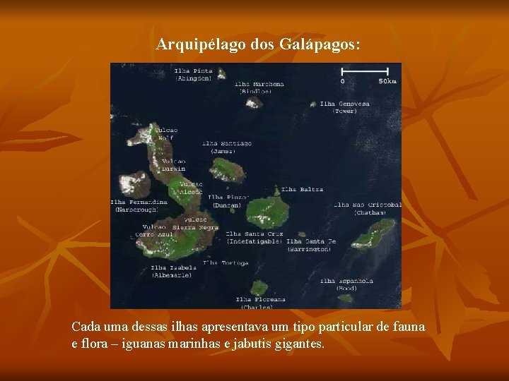 Arquipélago dos Galápagos: Cada uma dessas ilhas apresentava um tipo particular de fauna e