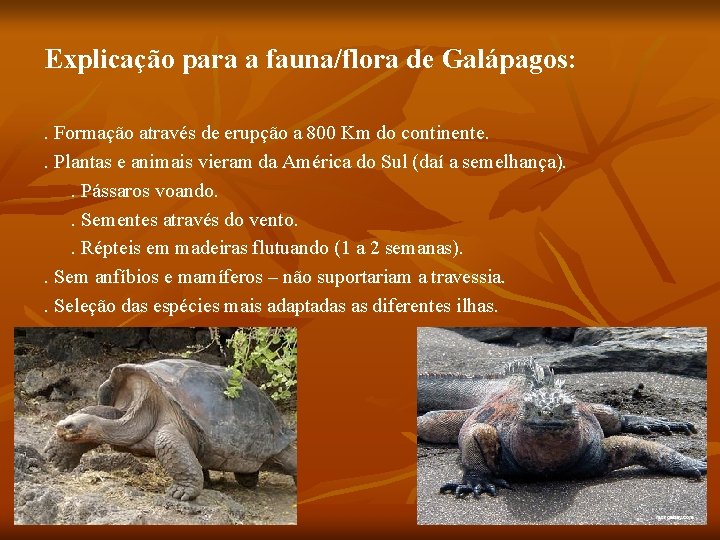 Explicação para a fauna/flora de Galápagos: . Formação através de erupção a 800 Km