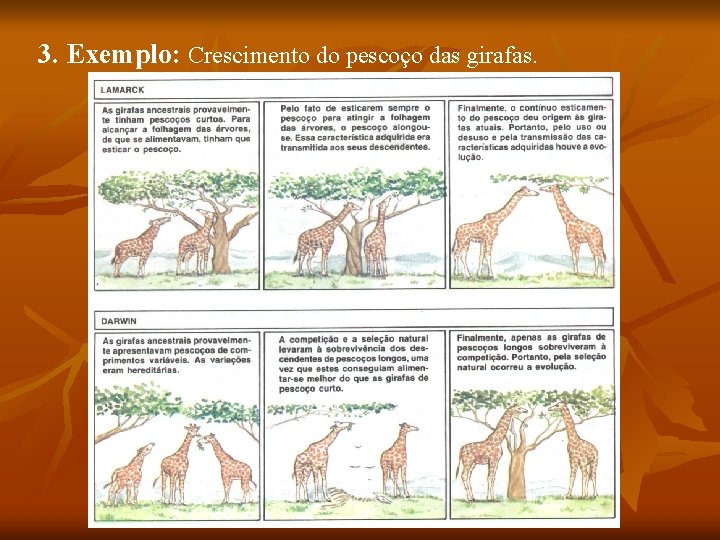 3. Exemplo: Crescimento do pescoço das girafas. 