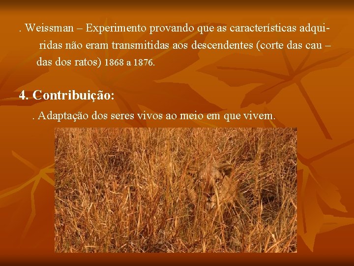 . Weissman – Experimento provando que as características adquiridas não eram transmitidas aos descendentes