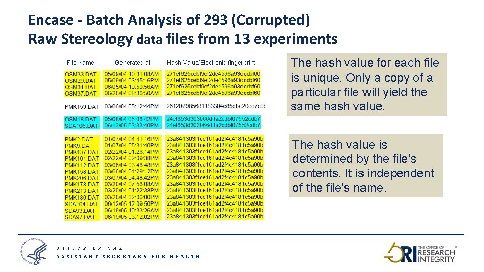Encase - Batch Analysis of 293 (Corrupted) Raw Stereology data files from 13 experiments