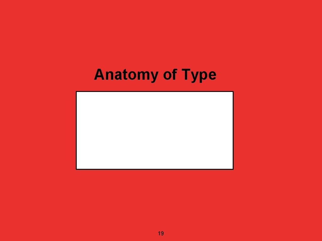 Anatomy of Type 19 
