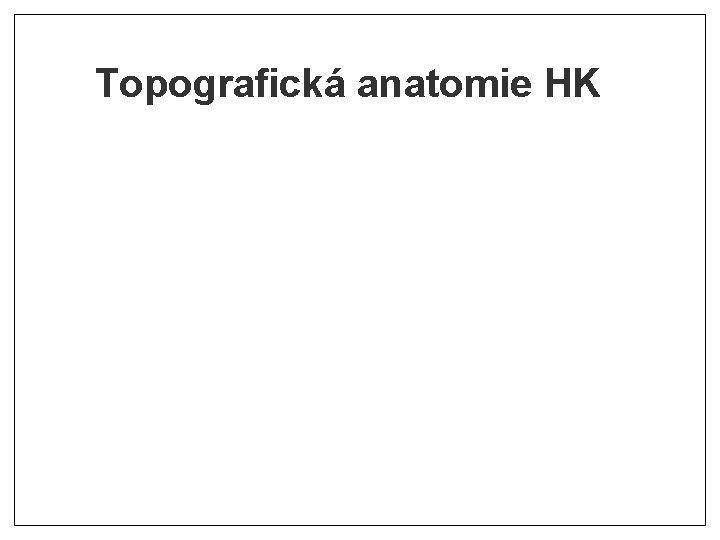 Topografická anatomie HK Topografická anatomie HK