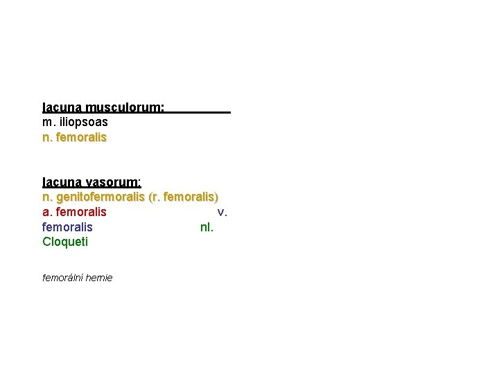 lacuna musculorum: m. iliopsoas n. femoralis lacuna vasorum: n. genitofermoralis (r. femoralis) a. femoralis lacuna musculorum: m. iliopsoas n. femoralis lacuna vasorum: n. genitofermoralis (r. femoralis) a. femoralis