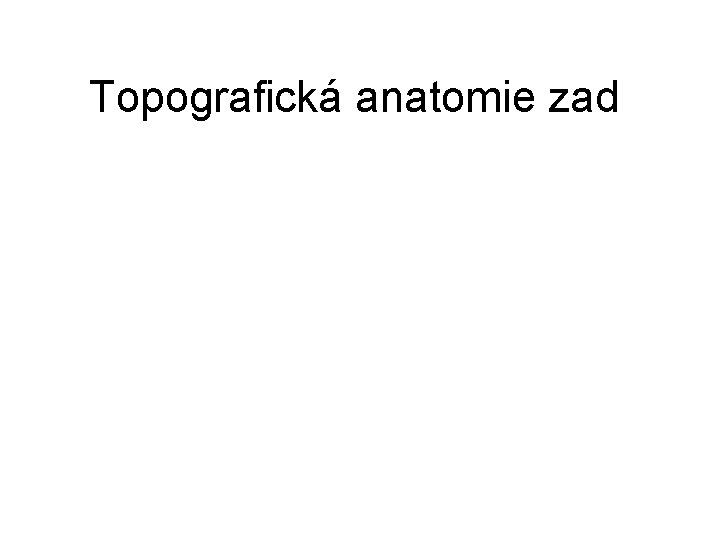 Topografická anatomie zad Topografická anatomie zad
