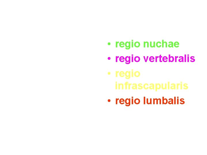 • regio nuchae • regio vertebralis • regio infrascapularis • regio lumbalis • regio nuchae • regio vertebralis • regio infrascapularis • regio lumbalis