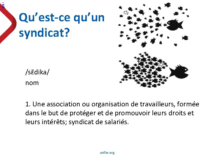 ɛ Qu’est-ce qu’un syndicat? /sɛ dika/ nom 1. Une association ou organisation de travailleurs,