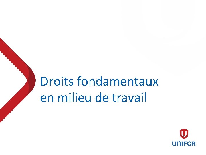 Droits fondamentaux en milieu de travail 