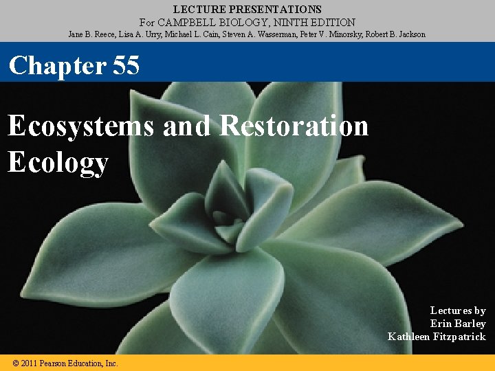 LECTURE PRESENTATIONS For CAMPBELL BIOLOGY, NINTH EDITION Jane B. Reece, Lisa A. Urry, Michael