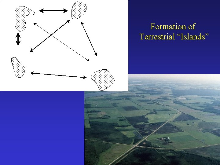 Formation of Terrestrial “Islands” 
