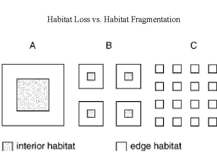 Habitat Loss vs. Habitat Fragmentation 