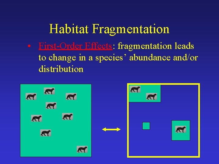 Habitat Fragmentation • First-Order Effects: fragmentation leads to change in a species’ abundance and/or