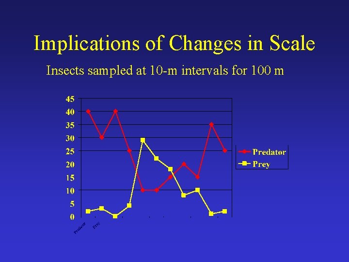 Implications of Changes in Scale Insects sampled at 10 -m intervals for 100 m