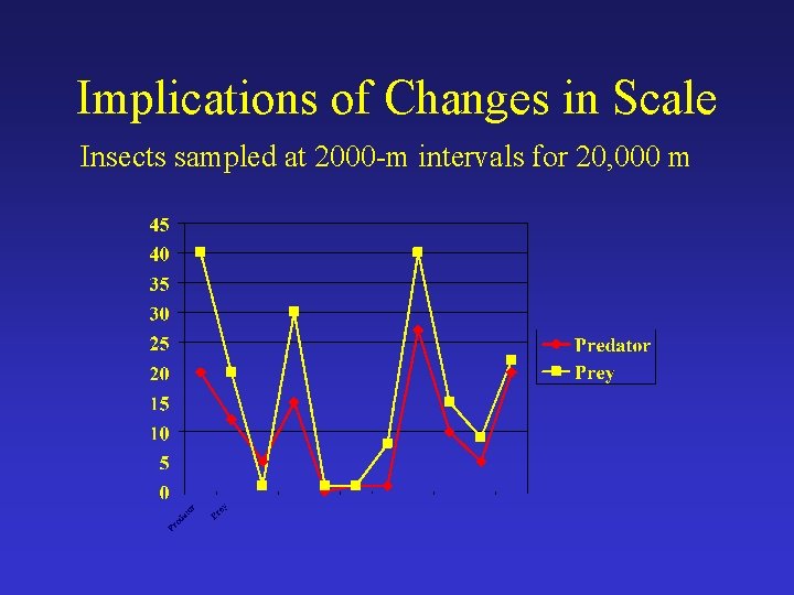 Implications of Changes in Scale Insects sampled at 2000 -m intervals for 20, 000