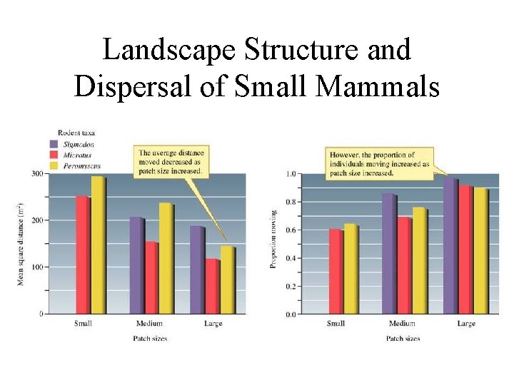 Landscape Structure and Dispersal of Small Mammals 