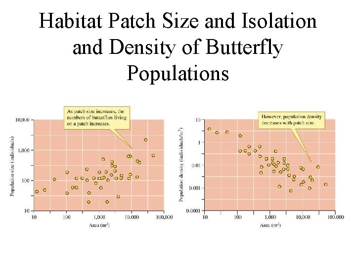 Habitat Patch Size and Isolation and Density of Butterfly Populations 
