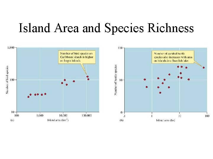 Island Area and Species Richness 