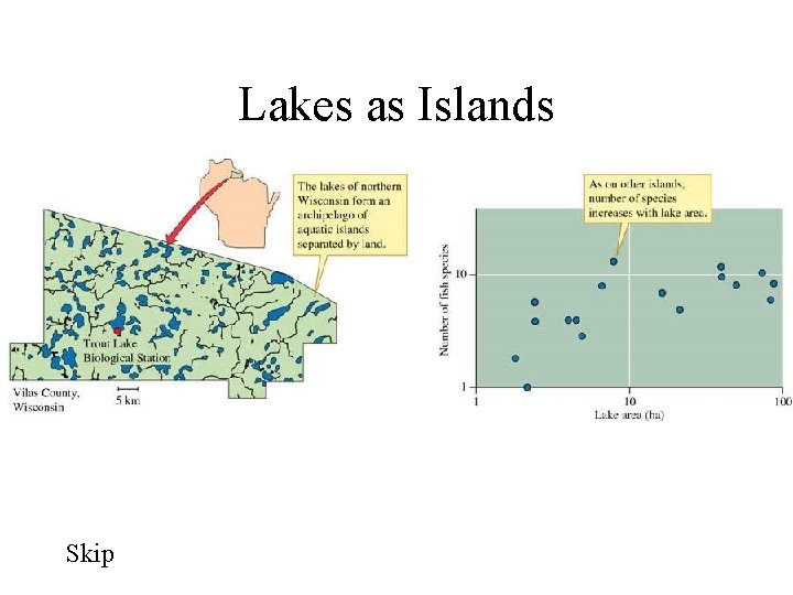Lakes as Islands Skip 