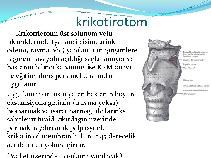 krikotirotomi Krikotriotomi üst solunum yolu tıkanıklarında (yabanci cisim. larink ödemi, travma. . vb. )