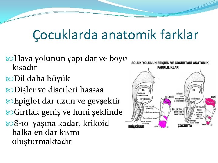 Çocuklarda anatomik farklar Hava yolunun çapı dar ve boyu kısadır Dil daha büyük Dişler