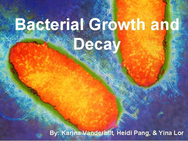 Bacterial Growth and Decay By: Karina Vanderbilt, Heidi Pang, & Yina Lor 