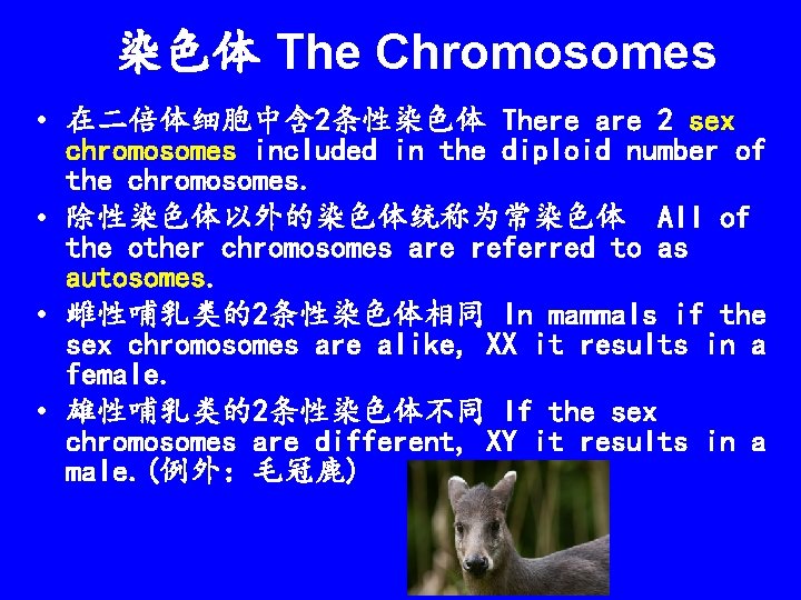 染色体 The Chromosomes • 在二倍体细胞中含 2条性染色体 There are 2 sex chromosomes included in the