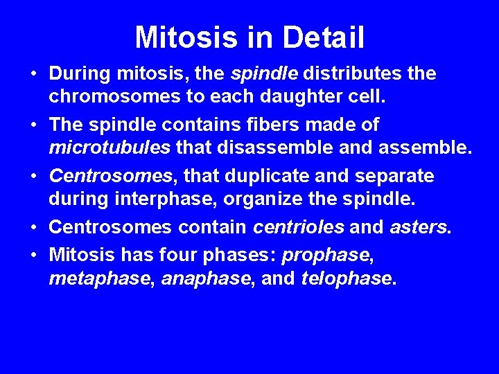 Mitosis in Detail • During mitosis, the spindle distributes the chromosomes to each daughter