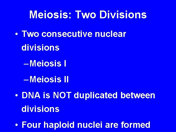 Meiosis: Two Divisions • Two consecutive nuclear divisions – Meiosis II • DNA is