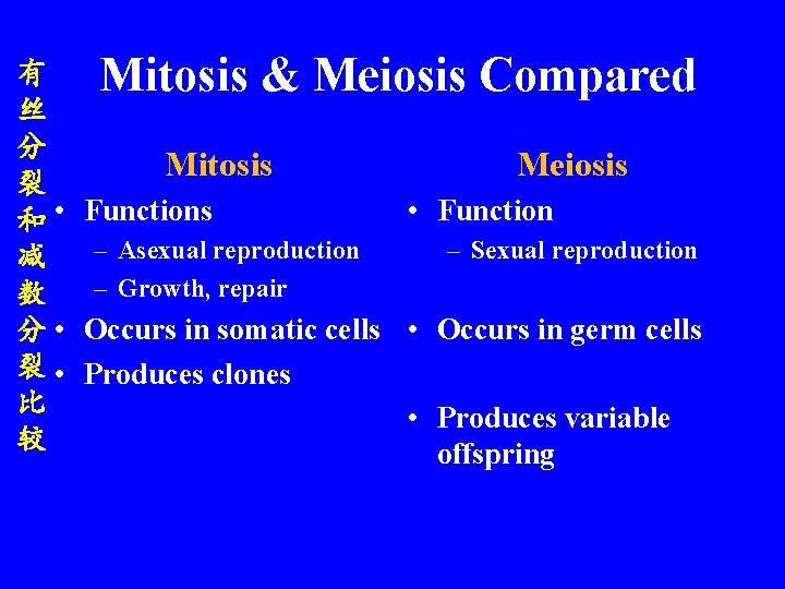 有 丝 分 裂 和 • 减 数 分 • 裂 • 比 较
