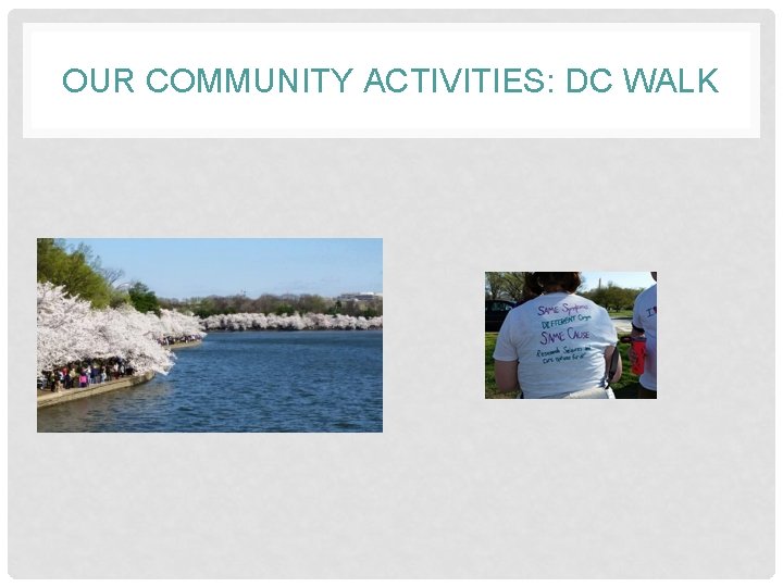 OUR COMMUNITY ACTIVITIES: DC WALK 