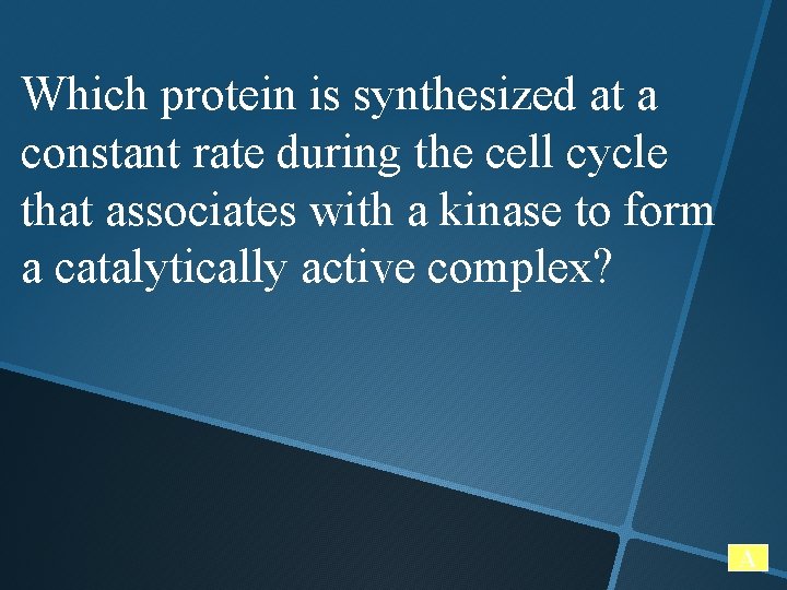 Which protein is synthesized at a constant rate during the cell cycle that associates