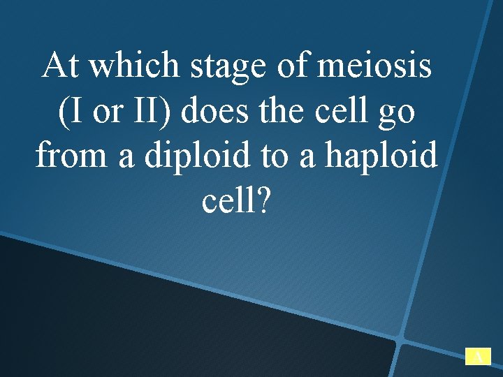 At which stage of meiosis (I or II) does the cell go from a