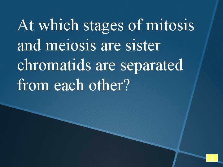 At which stages of mitosis and meiosis are sister chromatids are separated from each