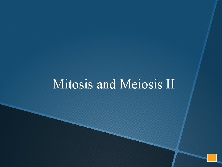 Mitosis and Meiosis II 