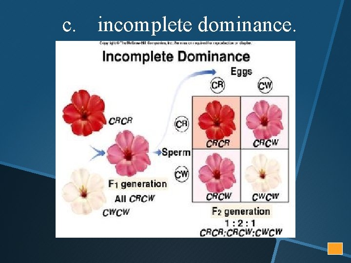 c. incomplete dominance. 